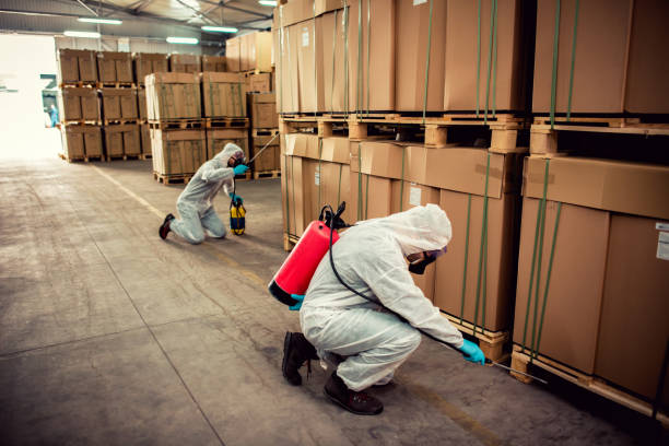 Best Pest Control Near Me in Bellevue, ID