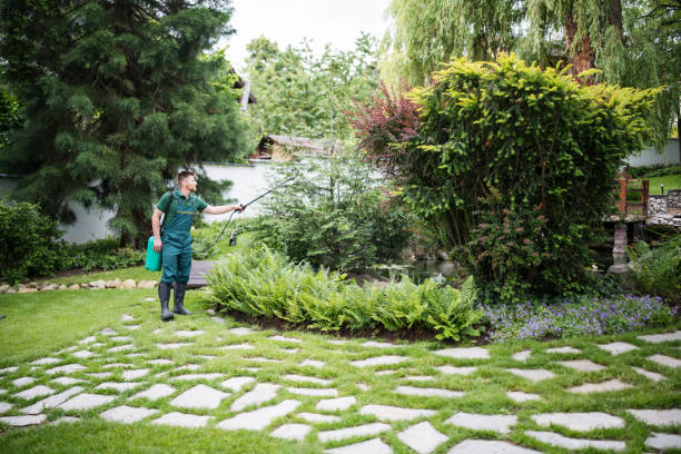 Best Best Pest Control Near Me  in Bellevue, ID