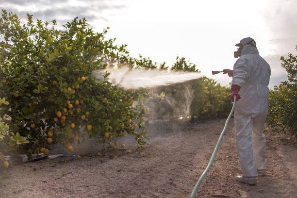 Best Best Pest Control Companies  in Bellevue, ID