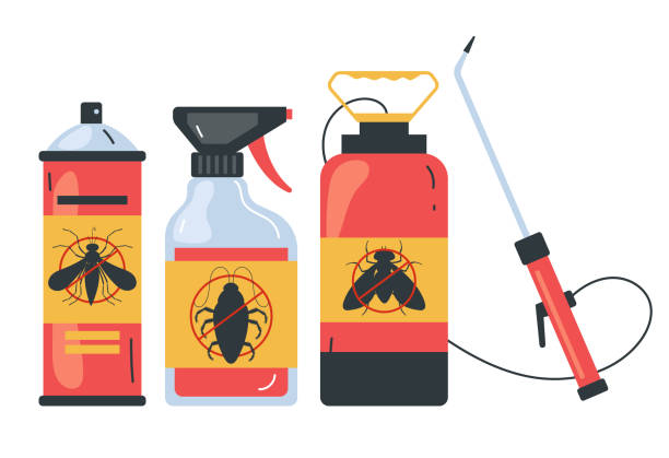 Best Termite Control Services  in Bellevue, ID