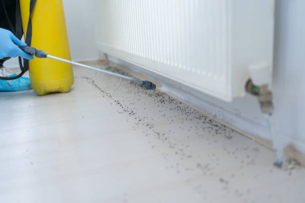 Pest Control for Restaurants in Bellevue, ID