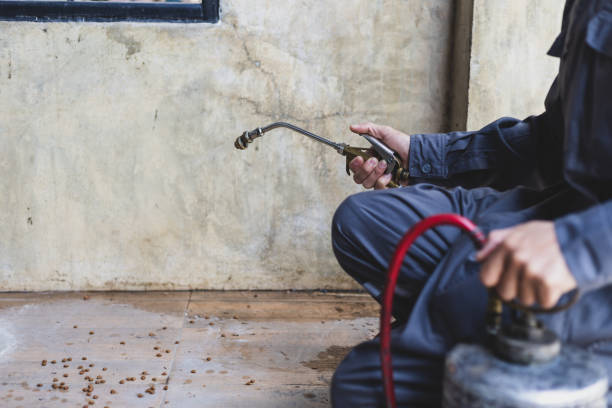 Best Pest Control Near Me  in Bellevue, ID